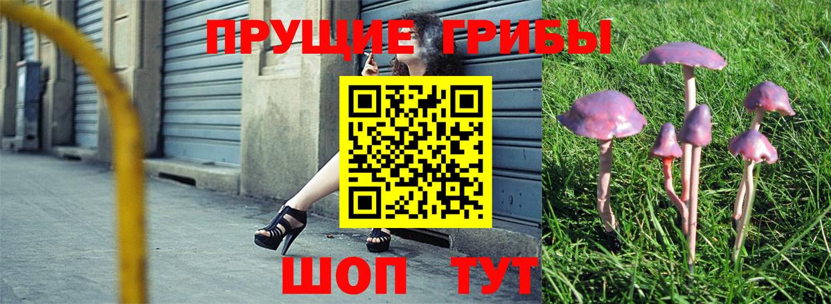 Янаул  Псилоцибиновые грибы GOLDEN TEACHER  Вход с VPN 